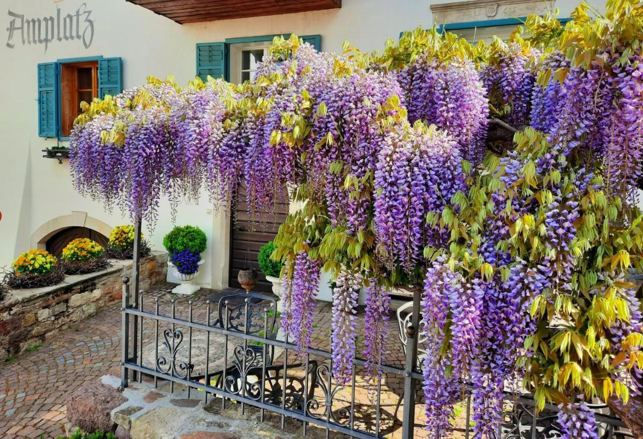 מונטניה Amplatz 1523 - B&B And Suites מראה חיצוני תמונה